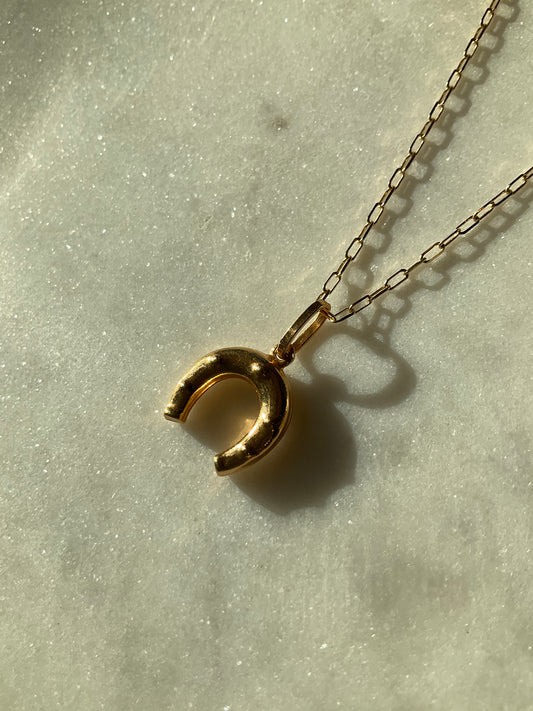 Horseshoe Pendant